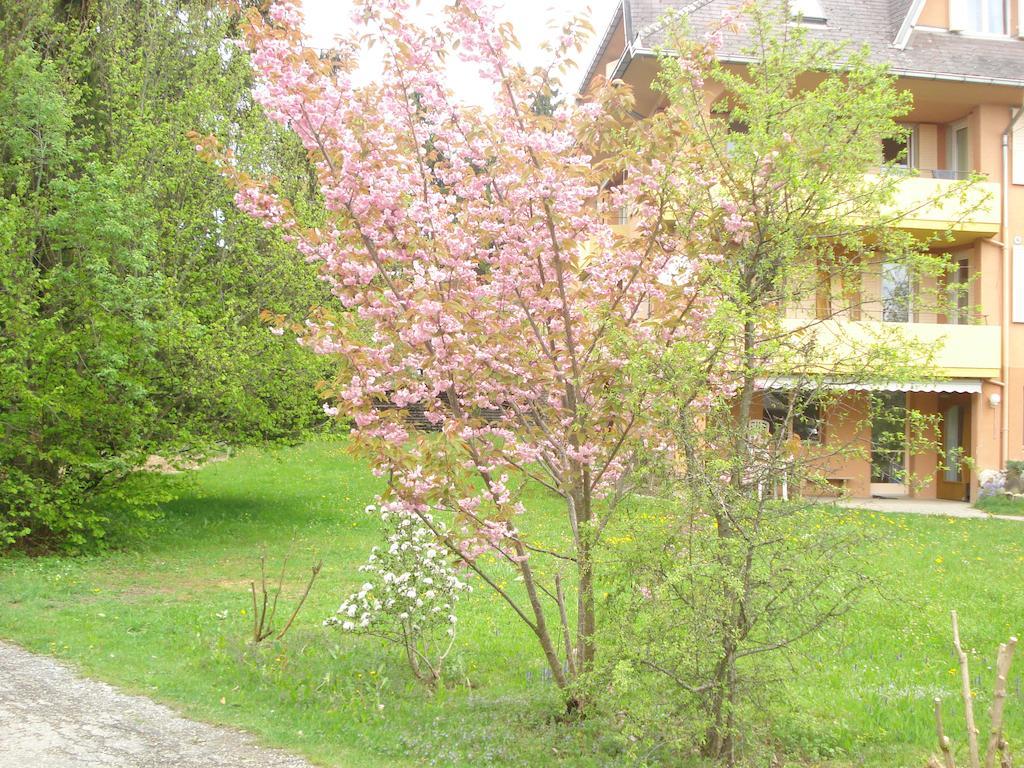 Pensiunea Orhideea Gura Humorului Exterior photo